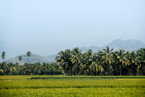 Grounds of 1,500 sqm Farm Lot in Vista Alegre Farm Estates, Calamba